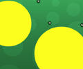 Fluid