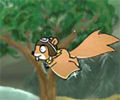 Fly Squirrel Fly
