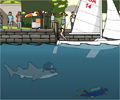 New York Shark