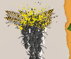 アリ対ハチのバトルランゲーム【アントキングダムラッシュ】