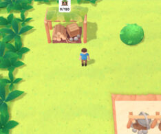 無人島サバイバルゲーム【荒涼とした島 （Desolate Isle: Survival）】