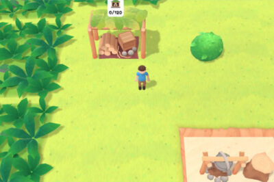 無人島サバイバルゲーム【荒涼とした島 （Desolate Isle: Survival）】