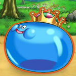dqmp