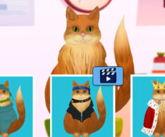傷ついた動物を治すケア病院ゲーム【カインドシェルター】」