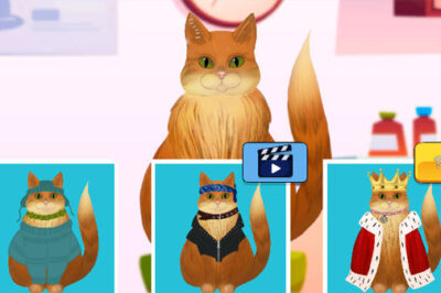 傷ついた動物を治すケア病院ゲーム【カインドシェルター】」