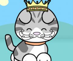 ネコを綺麗にするトリマーゲーム PET SALON KITTY CARE