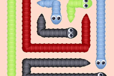 もつれたヘビを解くパズルゲーム【スネークアウト2】